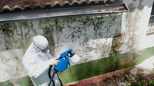 Top rated local Mold Remediation specialists in Churchton, MD